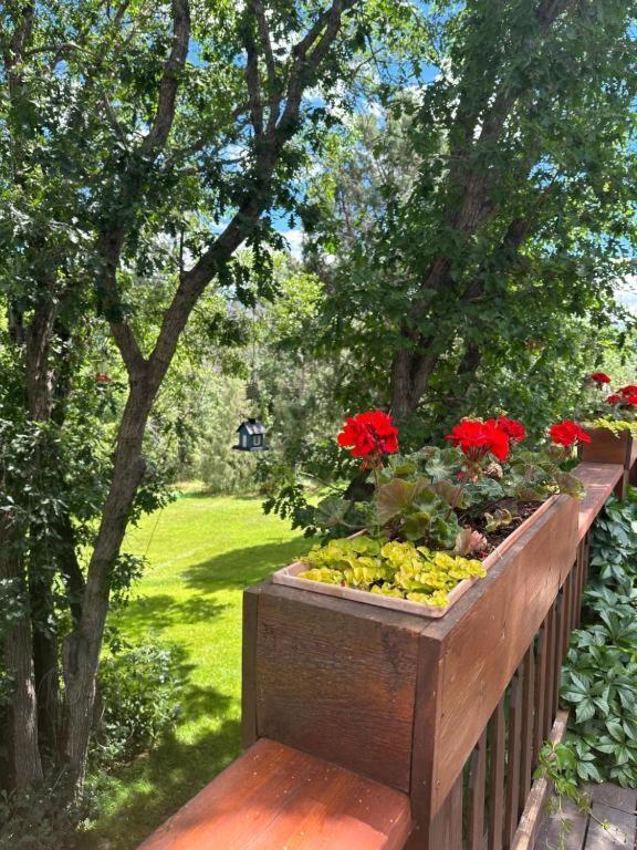 Country Sunshine Bed And Breakfast Hermosa Екстер'єр фото