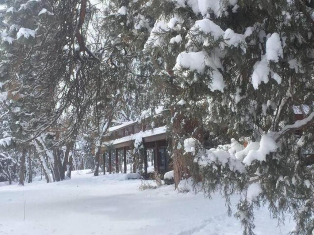 Country Sunshine Bed And Breakfast Hermosa Екстер'єр фото